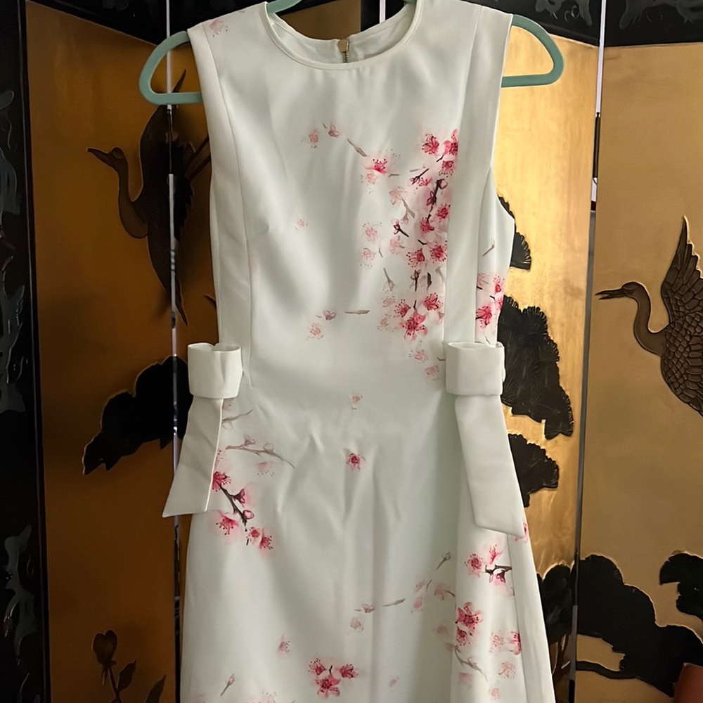 Ted Baker Cherry Blossom Dress (Size 0)